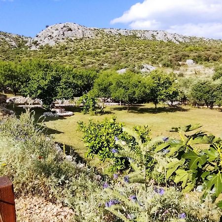 The Garden Of Elais Villa Šibenik Kültér fotó