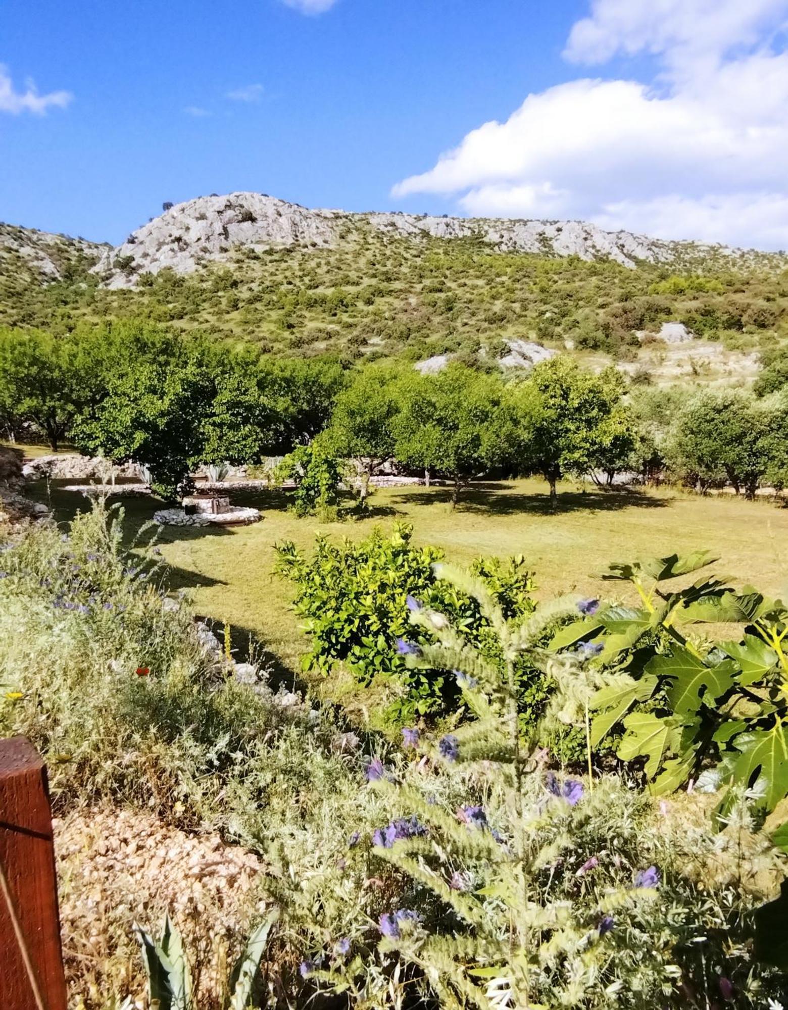 The Garden Of Elais Villa Šibenik Kültér fotó