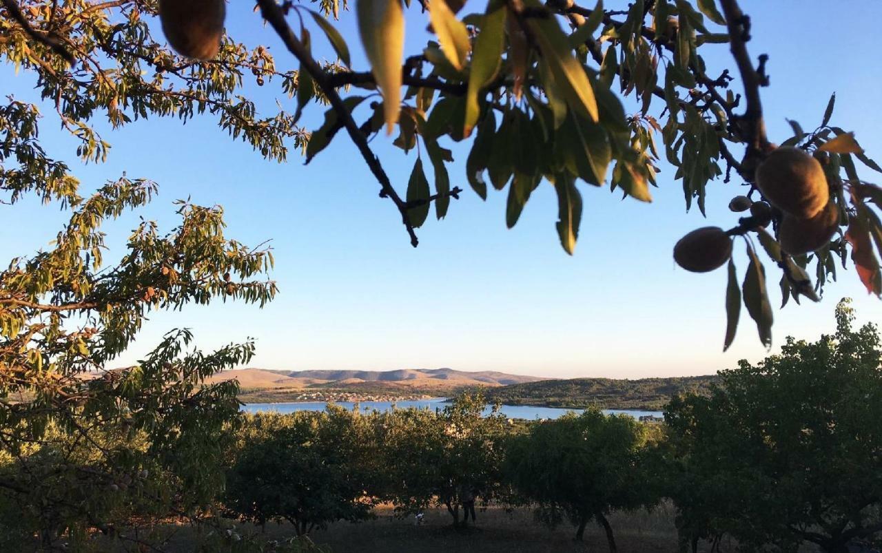 The Garden Of Elais Villa Šibenik Kültér fotó